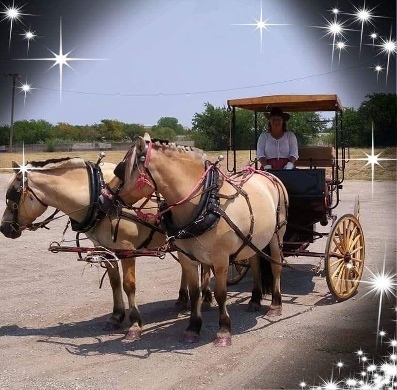 Tina Morris with T n T Ranch & Carriages